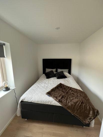 New In Fabulous Activity Area *