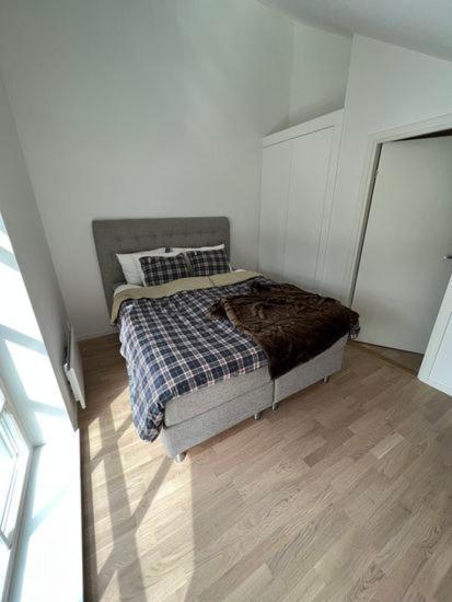 Apartment New In Fabulous Activity Area
